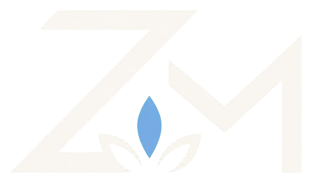 ZenMinds AI
